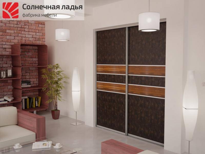 шкаф - купе для гостиной 17 в Ижевске