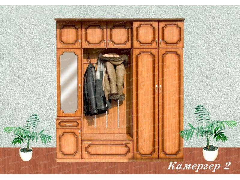 прихожая камергер 2 в Ижевске