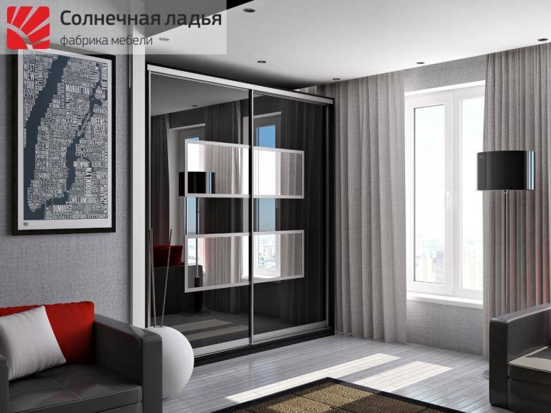 шкаф - купе для гостиной 6 в Ижевске