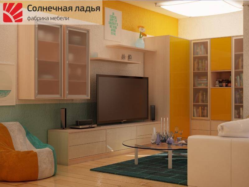 шкаф - купе для гостиной 15 в Ижевске