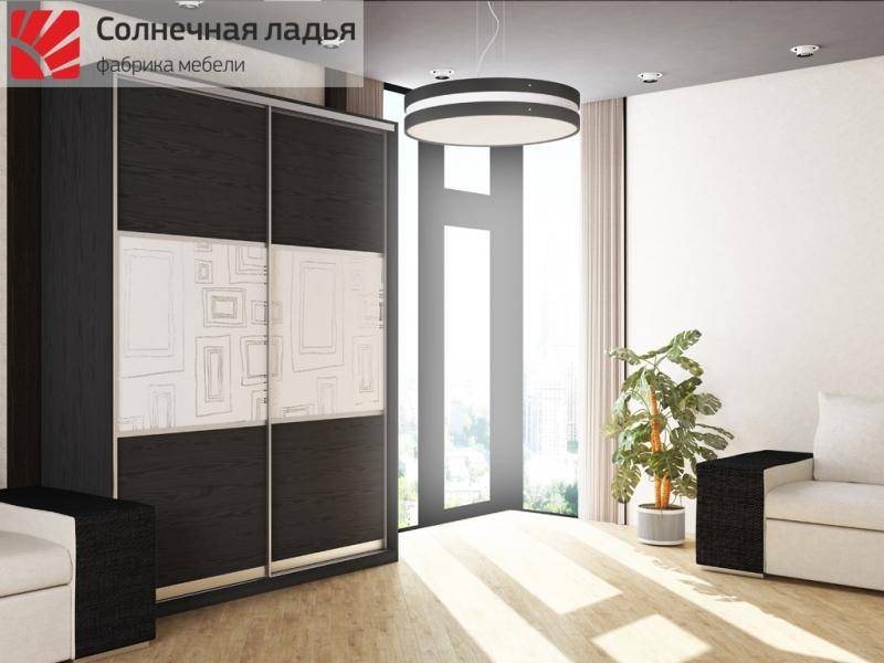 шкаф - купе фотопечать 7 в Ижевске