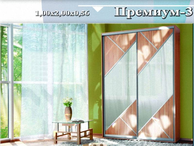 шкаф-купе «премиум 3» в Ижевске