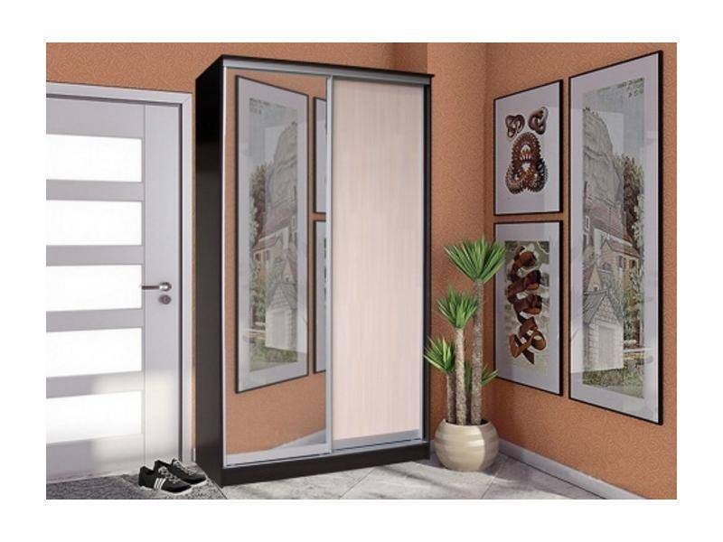 шкаф-купе 2 створки с зеркалом стандарт в Ижевске