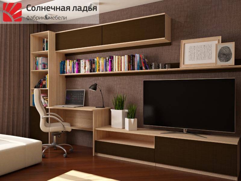 шкаф - купе для гостиной 13 в Ижевске