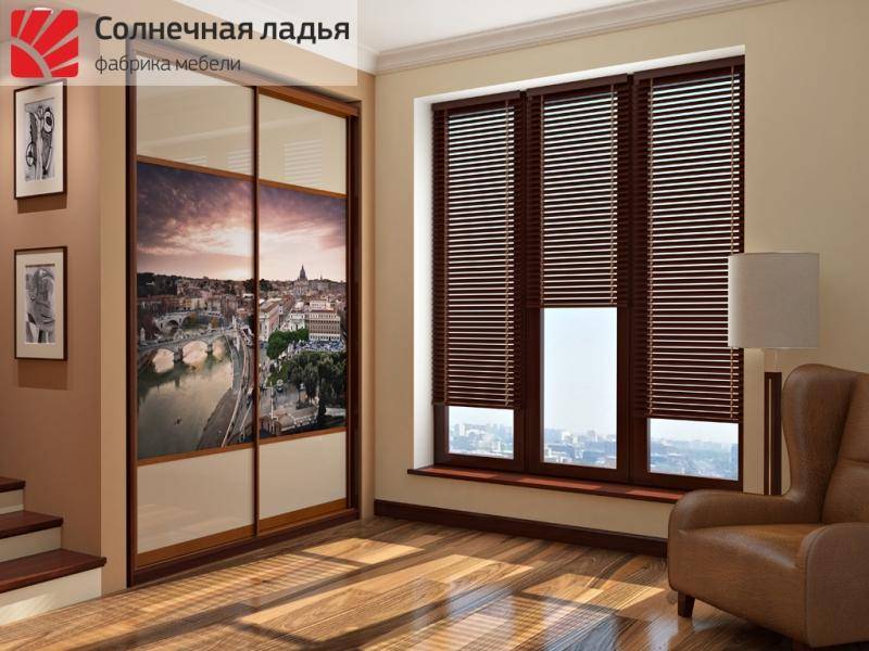 шкаф - купе для гостиной 9 в Ижевске