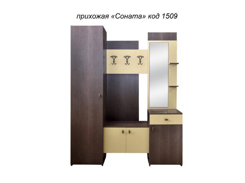 прихожая соната в Ижевске