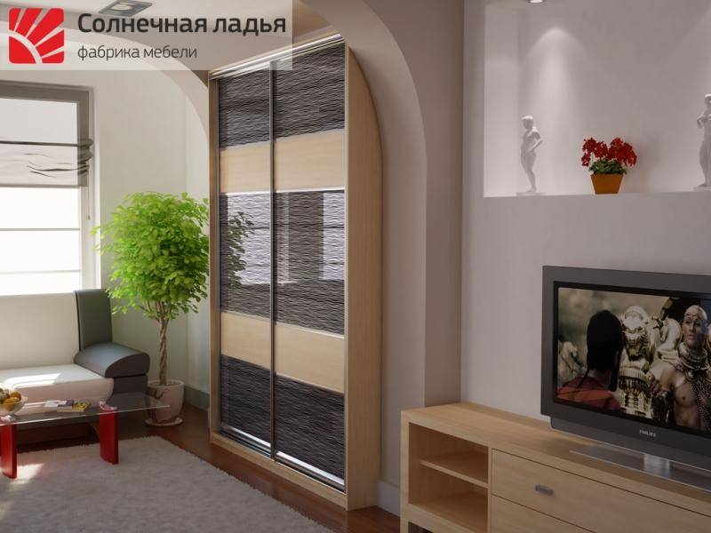 шкаф - купе для гостиной 19 в Ижевске