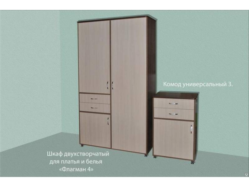 шкаф двухстворчатый для платья и белья флагман 4 в Ижевске