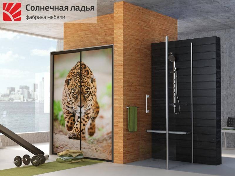шкаф - купе фотопечать 4 в Ижевске
