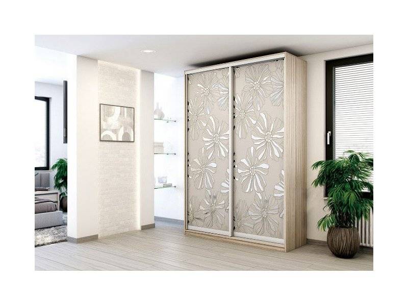шкаф-купе silver dream модель т в Ижевске