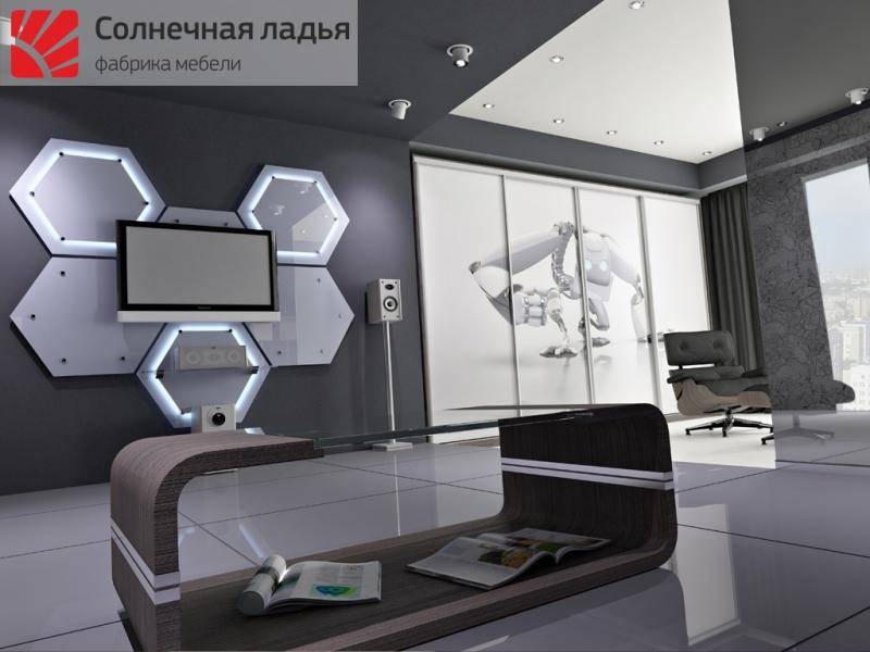 шкаф - купе для гостиной 11 в Ижевске