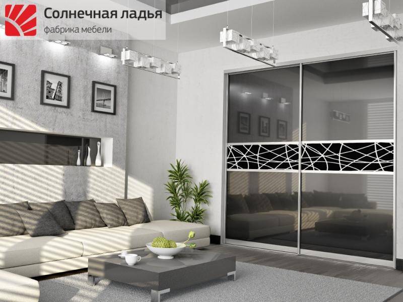 шкаф - купе для гостиной 10 в Ижевске