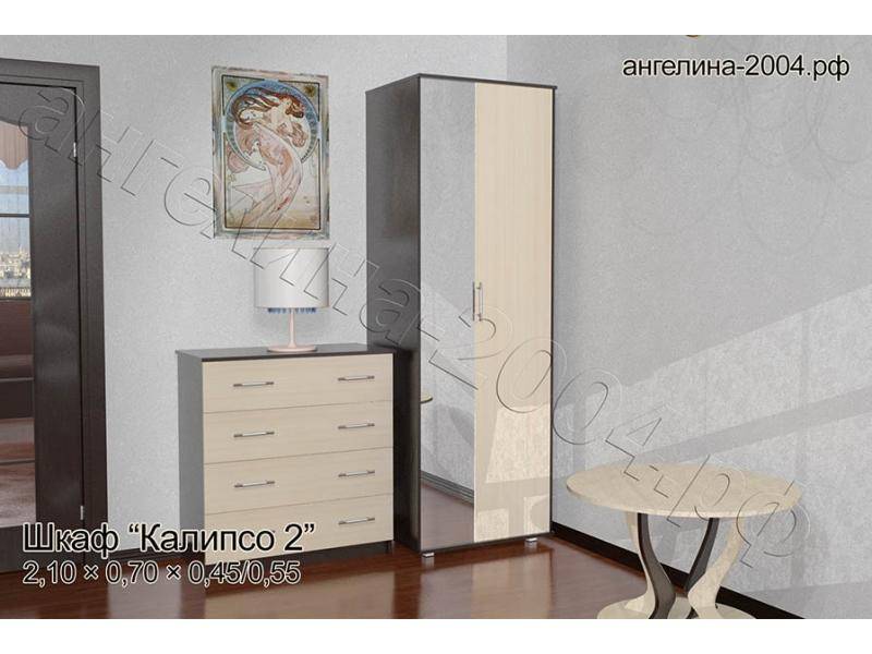 шкаф калипсо 2 в Ижевске