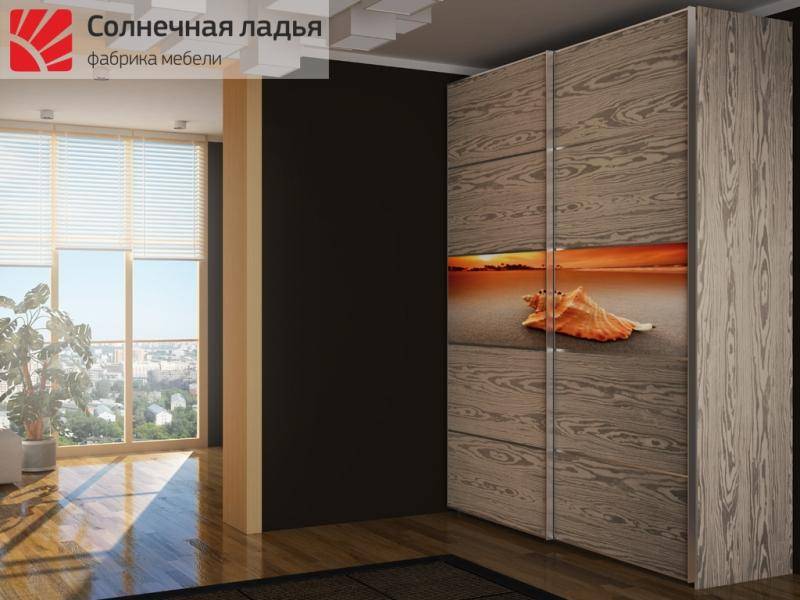 шкаф - купе для гостиной 2 в Ижевске