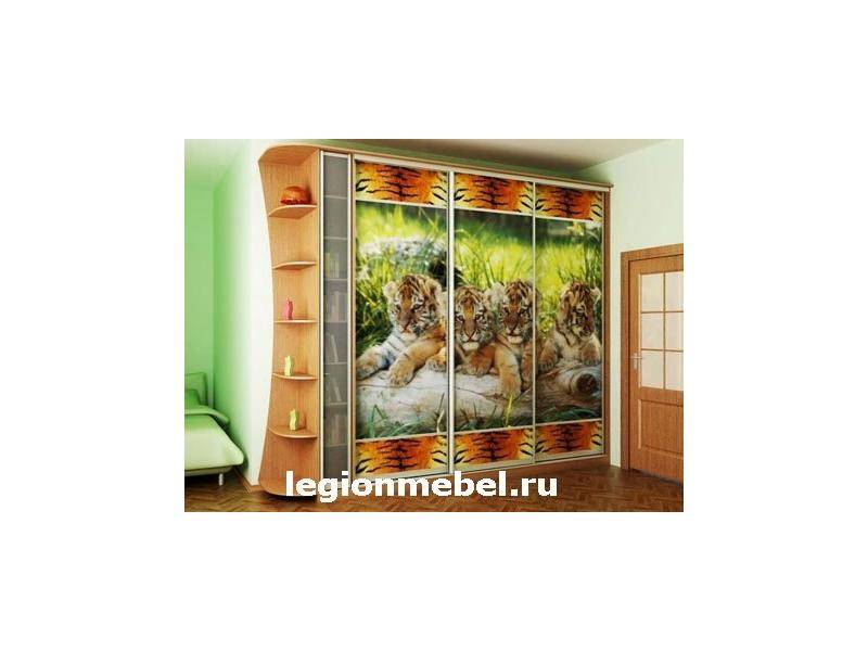 шкаф-купе с фотопечатью в Ижевске