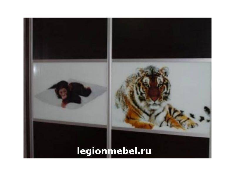 темный шкаф-купе с фотопечатью в Ижевске