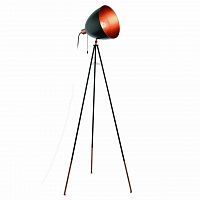 торшер eglo chester 49386 в Ижевске