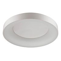 потолочный светодиодный светильник odeon light sole 4062/80cl в Ижевске