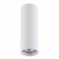 потолочный светильник lightstar rullo 214496 в Ижевске