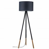 торшер paulmann rurik 79633 в Ижевске