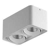 потолочный светильник lightstar monocco 212526 в Ижевске