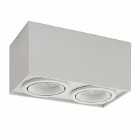 потолочный светильник denkirs dk2004-wh в Ижевске
