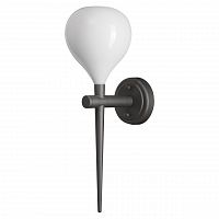 бра lightstar forma 808650 в Ижевске