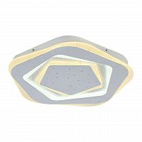 потолочный светодиодный светильник f-promo ledolution 2281-5c в Ижевске