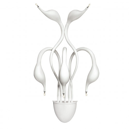 бра lightstar cigno collo wt 751656 в Ижевске
