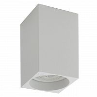 потолочный светильник denkirs dk2009-wh в Ижевске