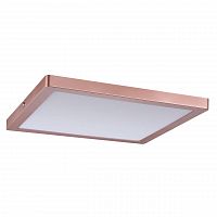 потолочный светодиодный светильник paulmann atria 70873 в Ижевске