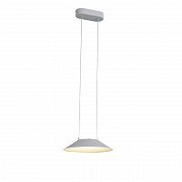 подвесной светодиодный светильник st luce pitto sl427.503.01 в Ижевске