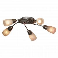 потолочная люстра lussole cevedale grlsq-6907-05 в Ижевске