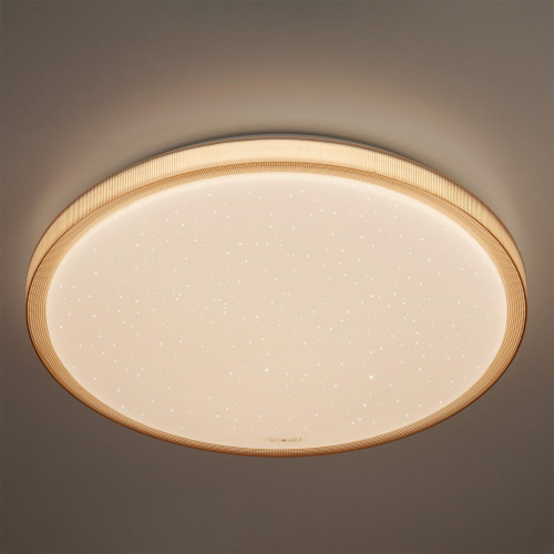 потолочный светодиодный светильник eurosvet sandy 40015/1 led кофе в Ижевске