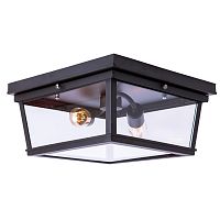 потолочный светильник loft it loft3110-2c в Ижевске