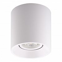 потолочный светильник denkirs dk3040-wh в Ижевске