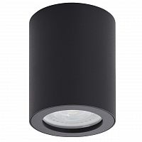 потолочный светильник denkirs dk3007-bk в Ижевске