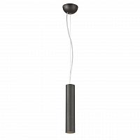 подвесной светодиодный светильник favourite pendenti 1963-1p в Ижевске