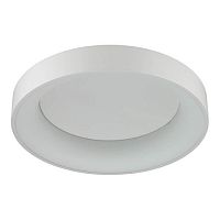 потолочный светодиодный светильник odeon light sole 4062/40cl в Ижевске