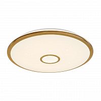 потолочный светодиодный светильник citilux старлайт cl70382r в Ижевске