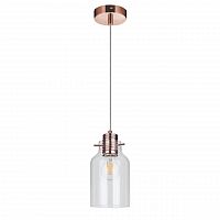 дизайнерский подвесной светильник spot light alessandro 1760113 в Ижевске