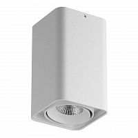 потолочный светодиодный светильник lightstar monocco 052136r в Ижевске