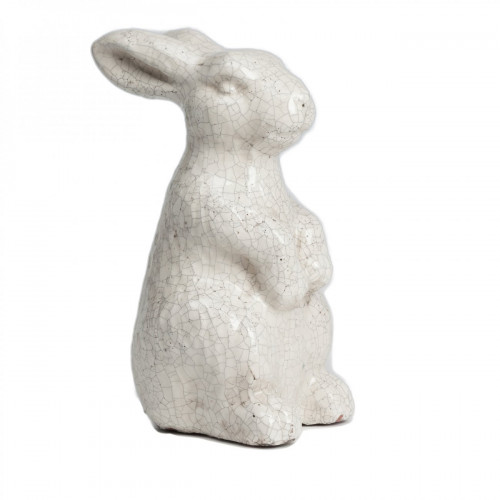 кролик декоративный rabbit в Ижевске
