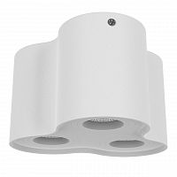 потолочный светильник lightstar binoco 052036 в Ижевске