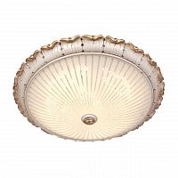 потолочный светодиодный светильник silver light louvre 843.50.7 в Ижевске