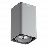 потолочный светодиодный светильник lightstar monocco 052139 в Ижевске