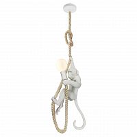 подвесной светильник lussole loft aya grlsp-9993 в Ижевске
