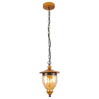 подвесной светильник arte lamp catena a6711sp-1br в Ижевске