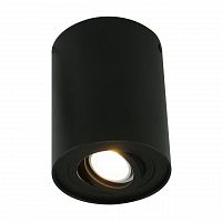 потолочный светильник arte lamp a5644pl-1bk в Ижевске