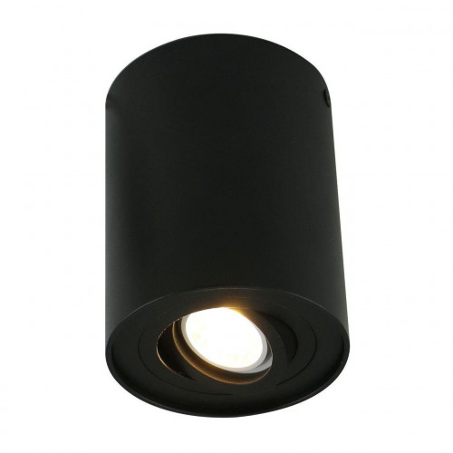 потолочный светильник arte lamp a5644pl-1bk в Ижевске
